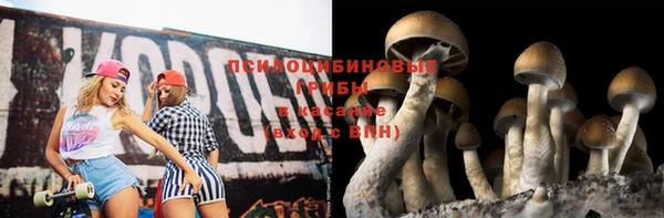 сатива Медвежьегорск